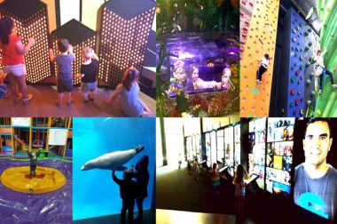 what-to-fo-in-melbourne-e1561455761752